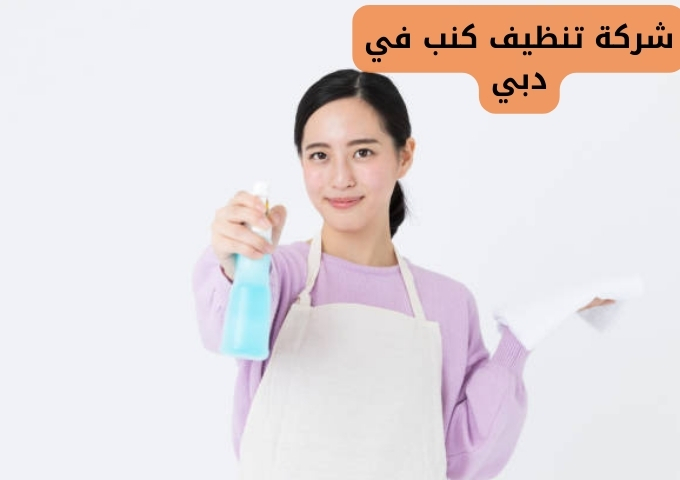 ارخص شركة تنظيف كنب دبي